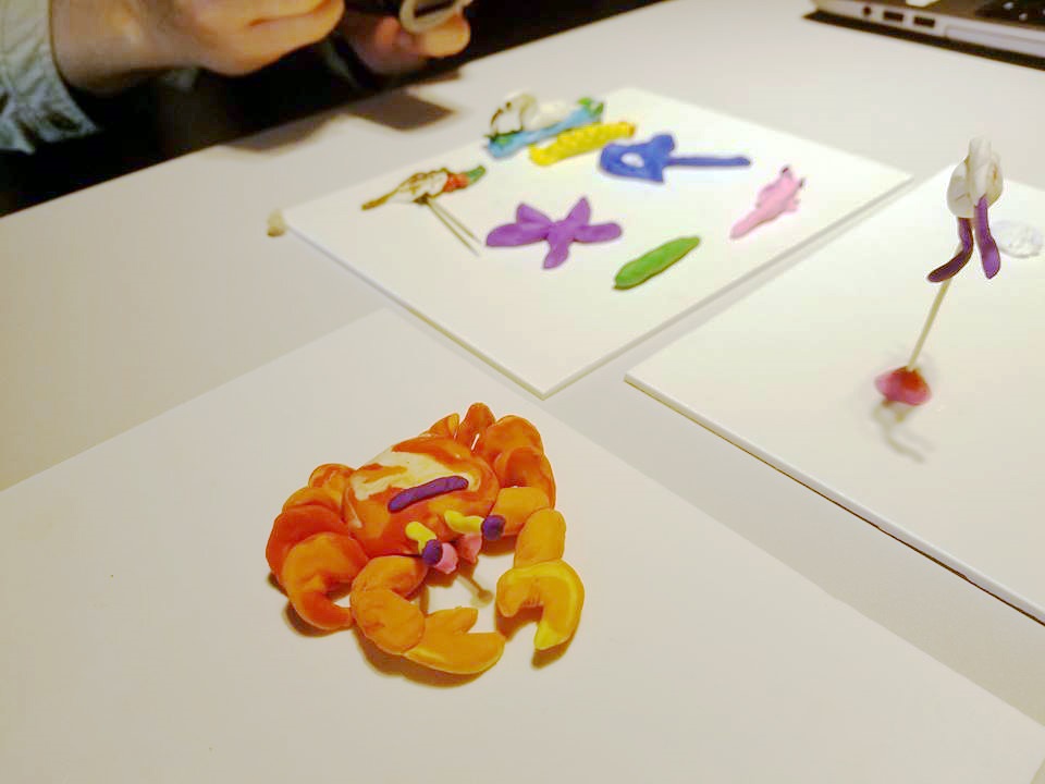 可持續大嶼辦事處在「生物多樣性節2018」中舉辦了工作坊和導賞團，透過手工藝製作及東涌河生態導賞，推廣大嶼山自然保育的重要性。